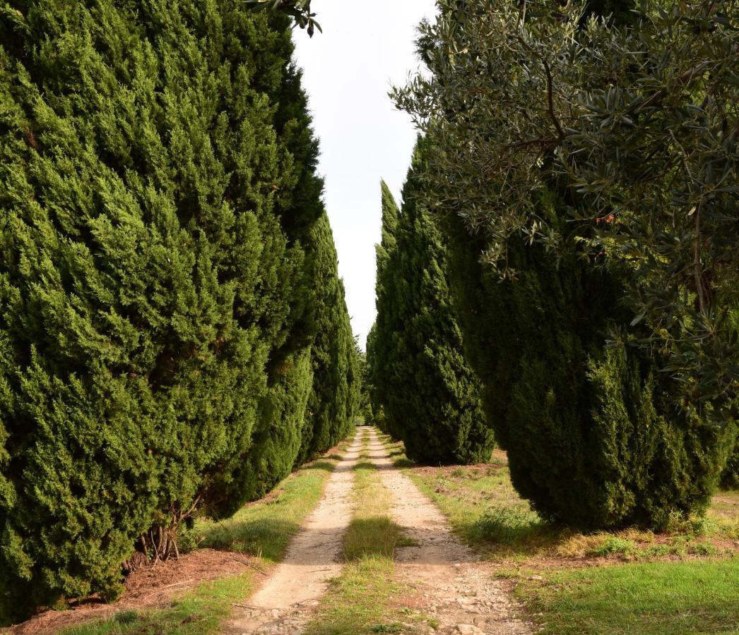 Bed and Breakfast Chateau Saint-Esprit Draguignan Exterior foto