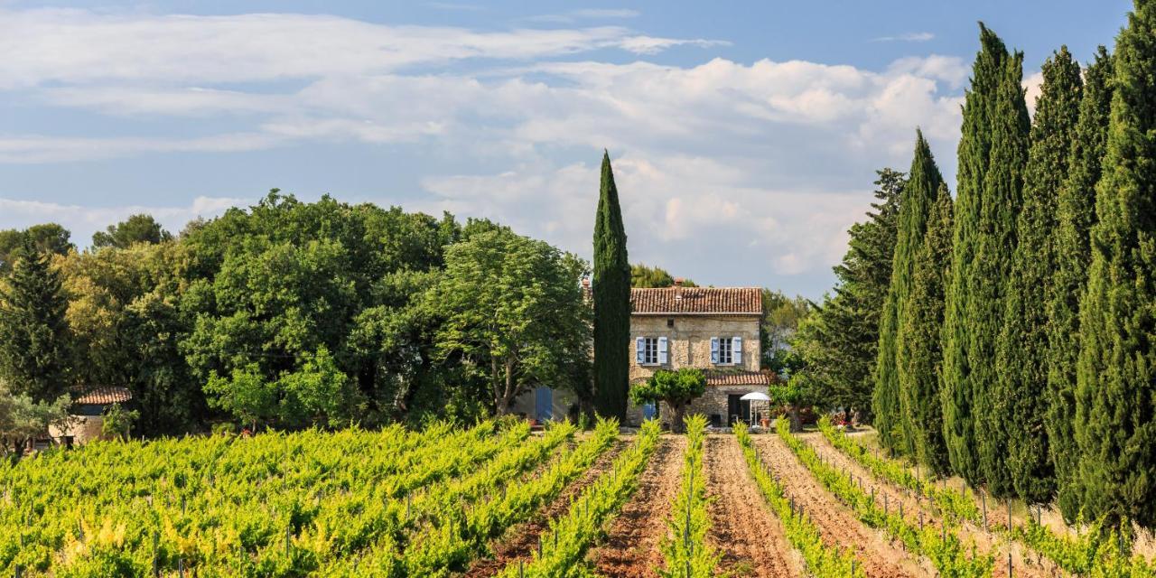 Bed and Breakfast Chateau Saint-Esprit Draguignan Exterior foto