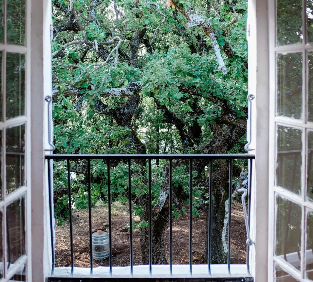 Bed and Breakfast Chateau Saint-Esprit Draguignan Exterior foto